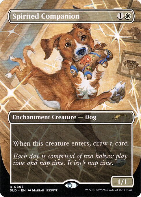Spirited Companion
