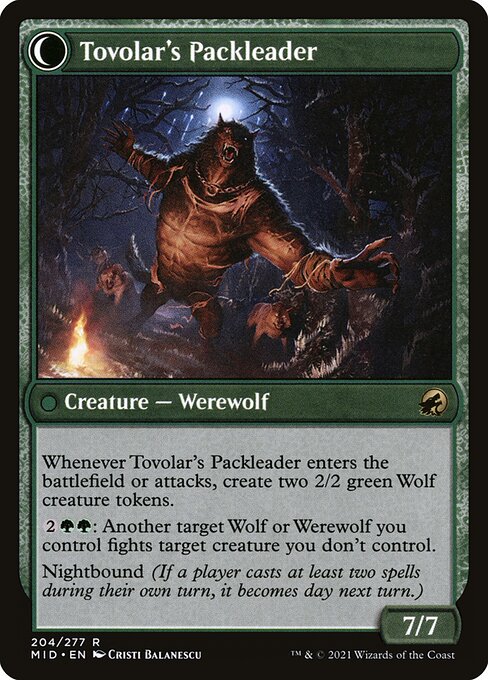 Tovolar's Packleader (back)