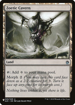 Zoetic Cavern (A25-249)