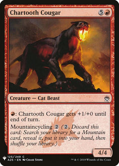Chartooth Cougar (A25-125)