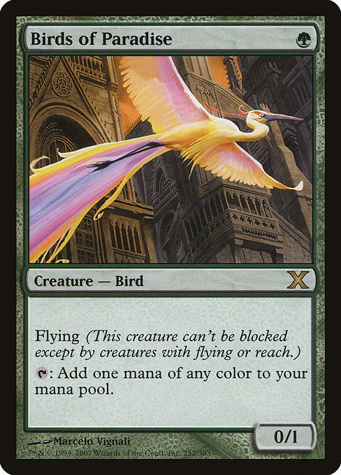 Birds of Paradise - Nonfoil