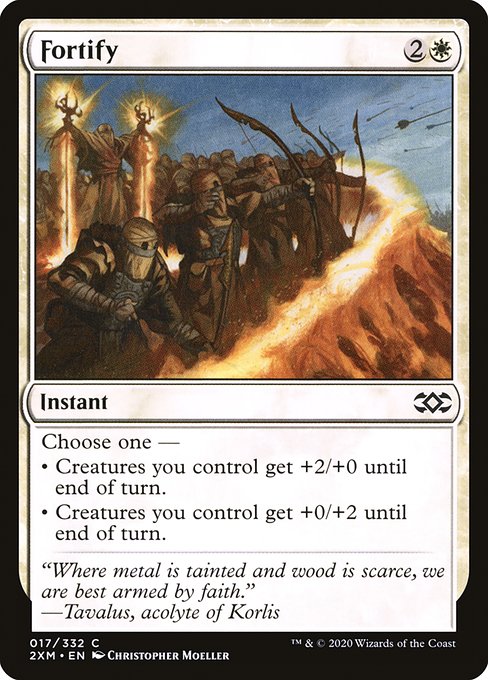 Fortify - Nonfoil