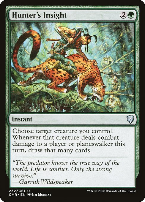 Hunter's Insight - Nonfoil