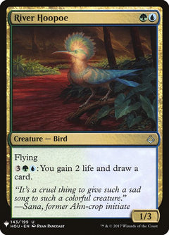 River Hoopoe (HOU-143)