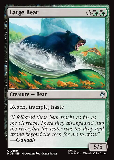 Large Bear