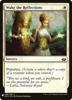 Wake the Reflections (MM3-28)