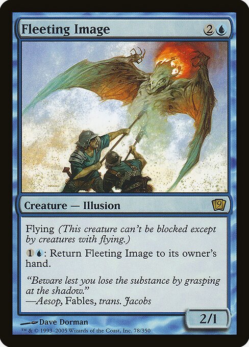 Fleeting Image - Foil