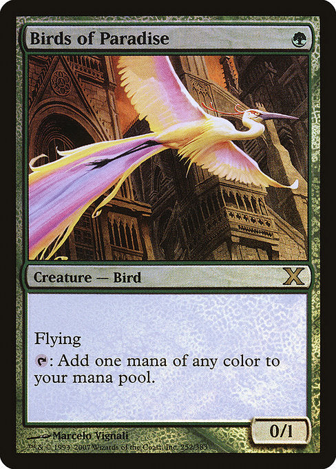 Birds of Paradise - Foil