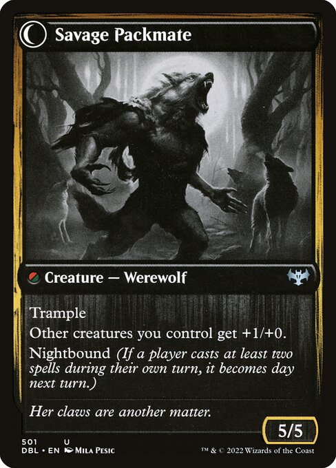 Savage Packmate (back)