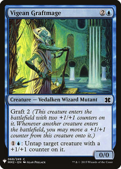 Vigean Graftmage (MM2-68)