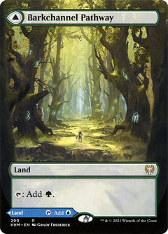Barkchannel Pathway // Tidechannel Pathway (Borderless)