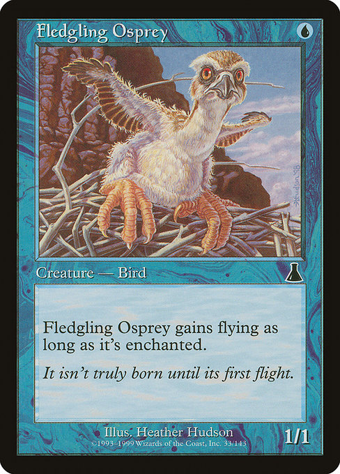Fledgling Osprey - Nonfoil