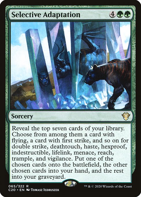 Selective Adaptation - Nonfoil