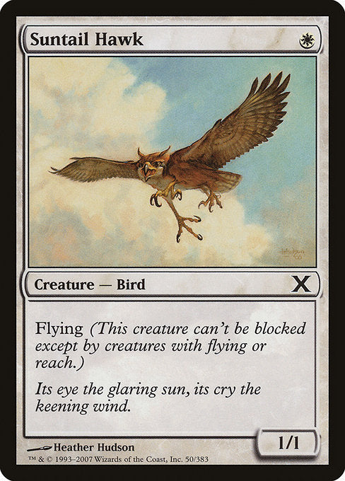 Suntail Hawk - Nonfoil