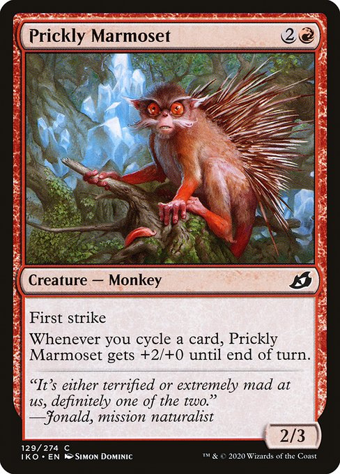 Prickly Marmoset - Nonfoil