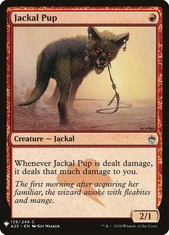 Jackal Pup (A25-139)