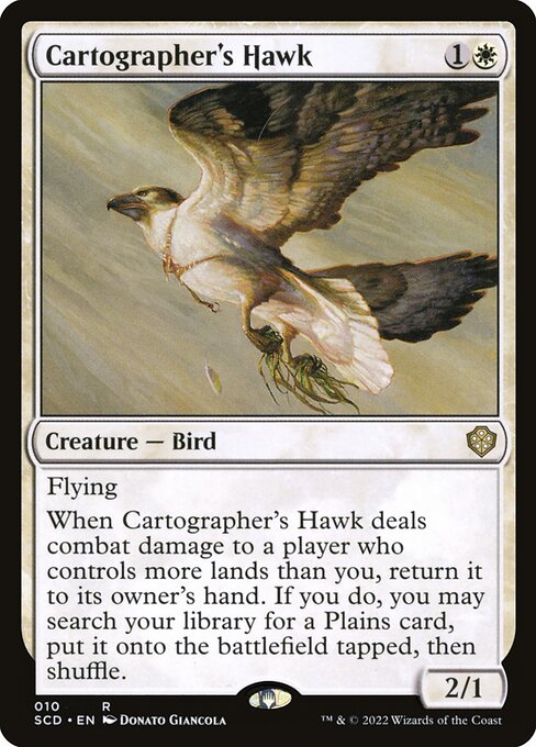 Cartographer's Hawk - Nonfoil
