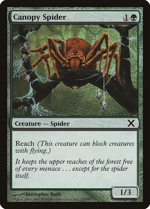Canopy Spider - Nonfoil