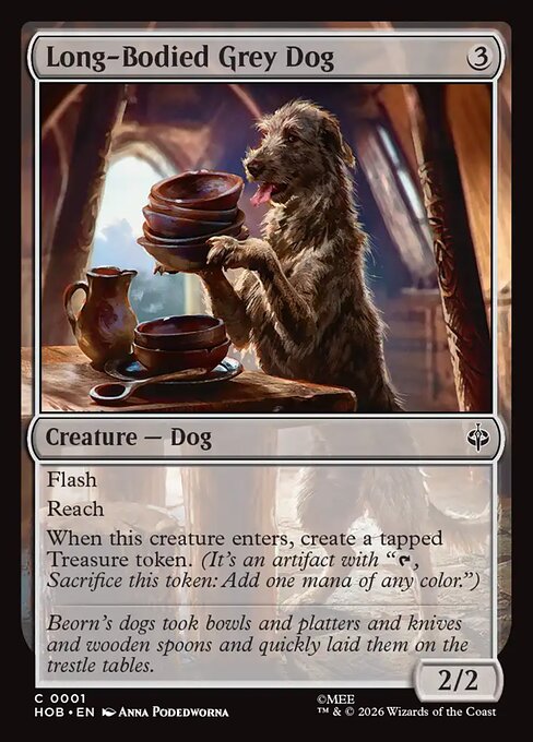 Long-Bodied Grey Dog