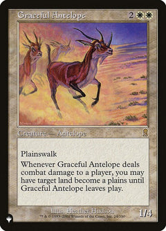 Graceful Antelope (ODY-24)