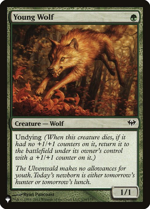 Young Wolf - Nonfoil