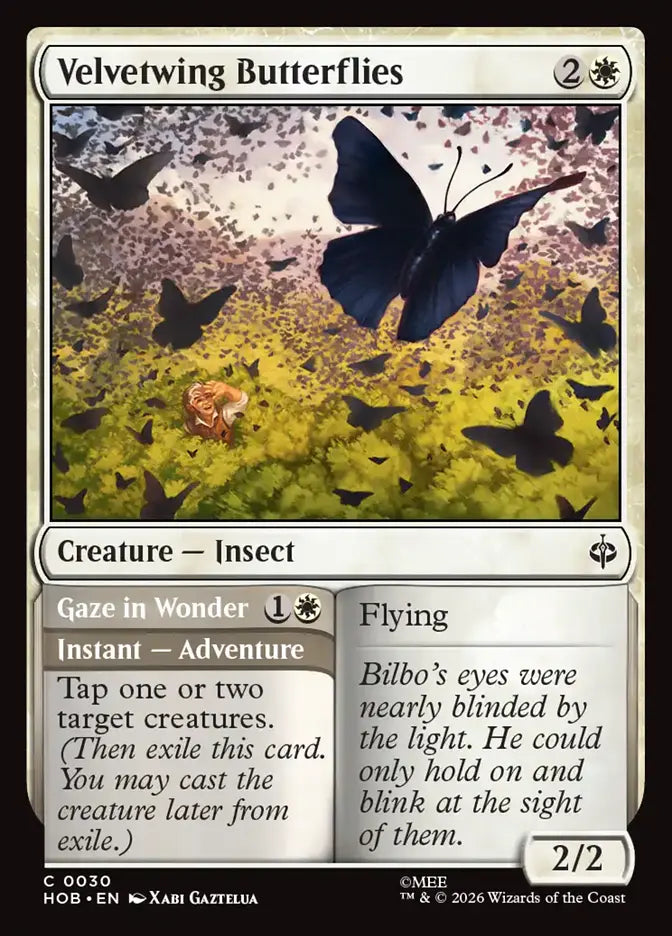 Velvetwing Butterflies // Gaze in Wonder